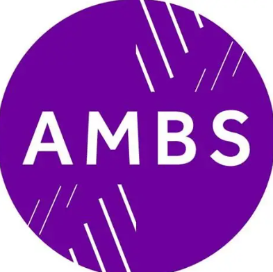 University of Manchester - Alliance Manchester Business School